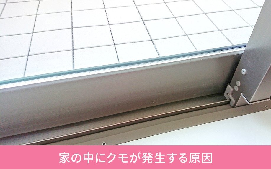 家の中にクモが発生する原因