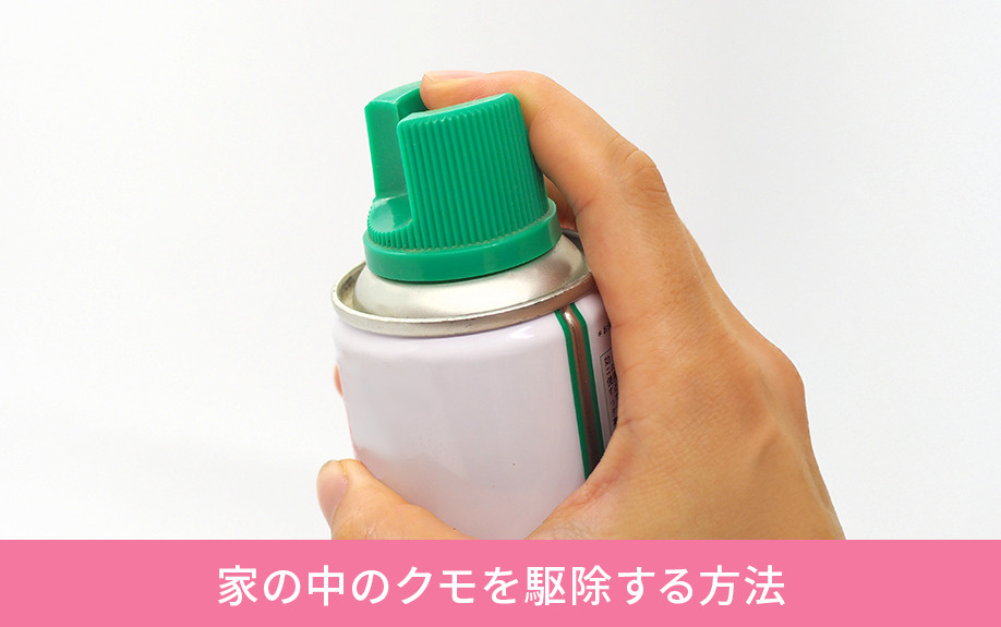 家の中のクモを駆除する方法