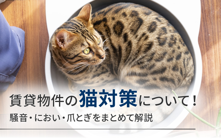賃貸物件の猫対策について！騒音・におい・爪とぎをまとめて解説の画像