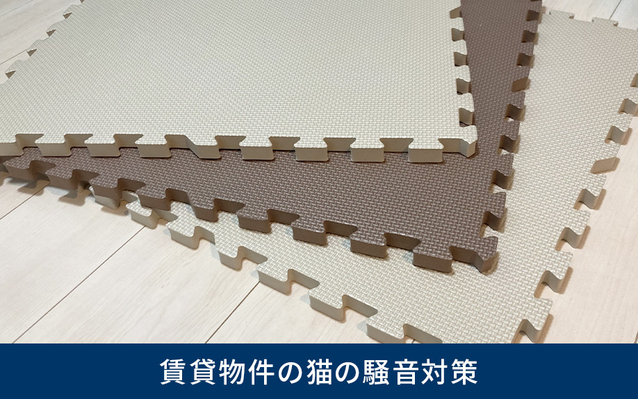 賃貸物件の猫の騒音対策