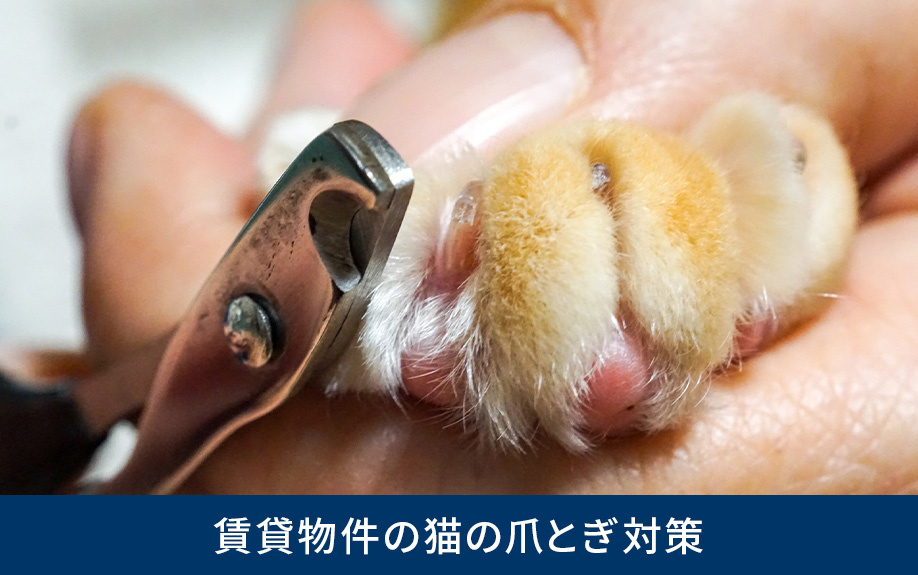賃貸物件の猫の爪とぎ対策