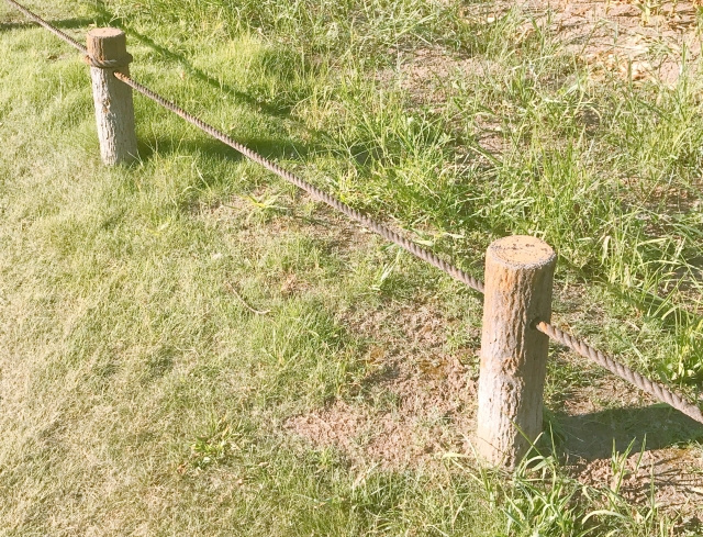 境界があいまいな土地を売却するときの注意点の画像