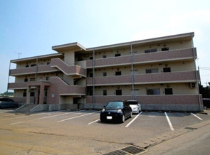 いよいよ秋の虫??\(^_^)/の画像