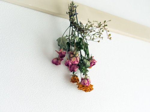 賃貸でも壁に穴を開けない！ピクチャーレールの取り付け方法と活用術