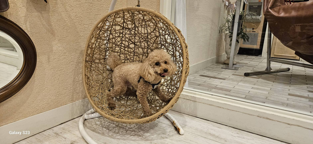 軽井沢旅行パート2の画像