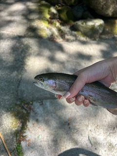 初釣り！の画像