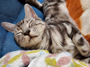 江坂で駐車場付き物件を探すならココ！の画像