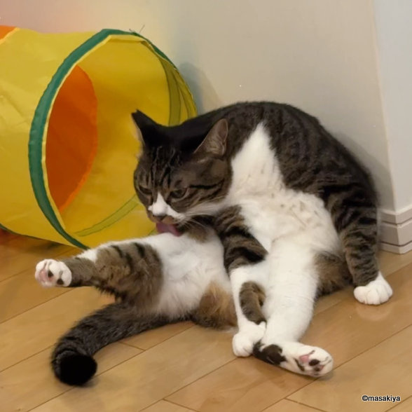 夏の終わりの画像