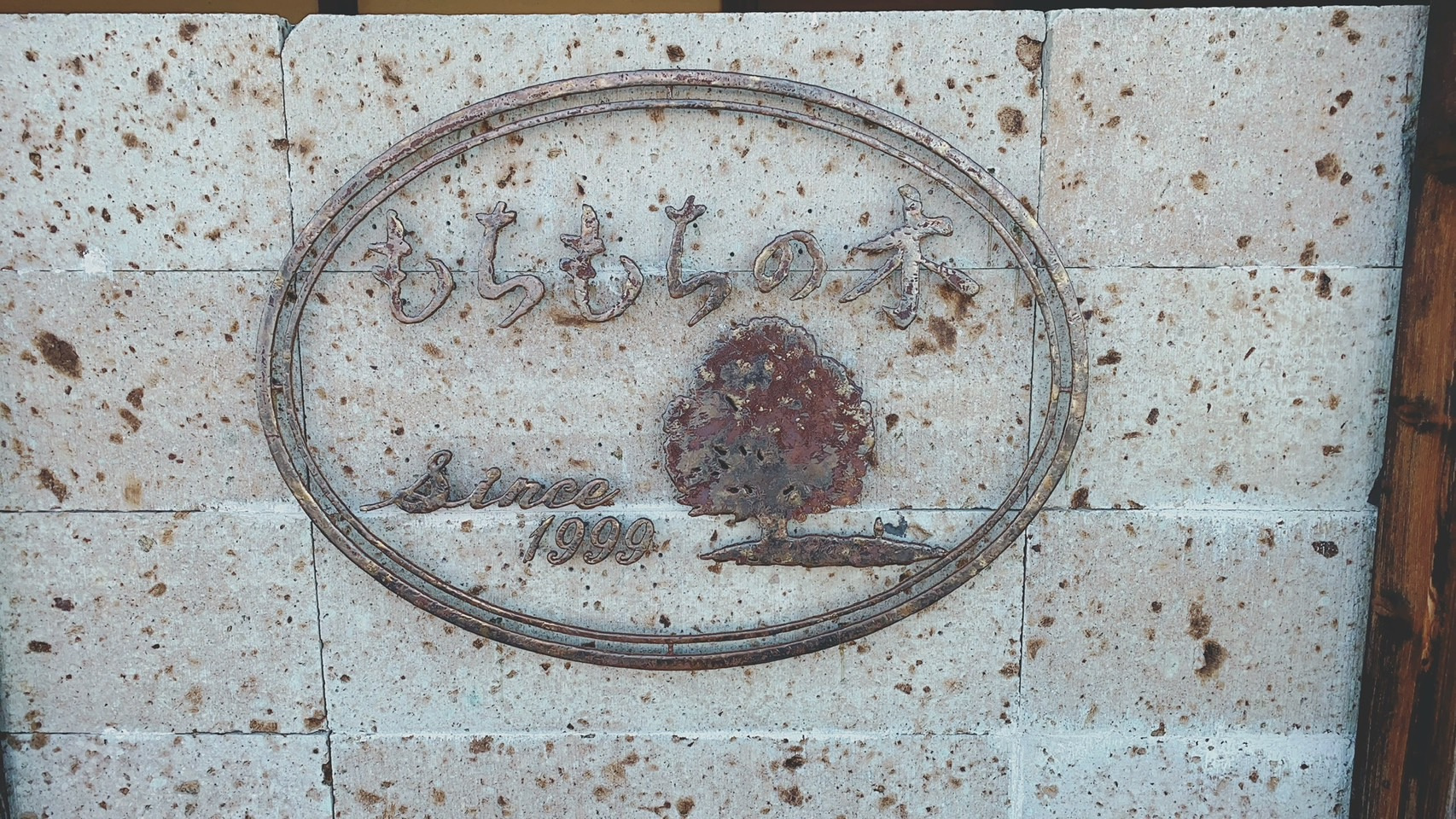 安定のおいしさ！！の画像