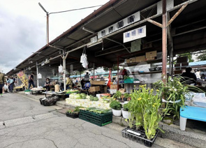 盛岡市　楽しい二大市場の画像
