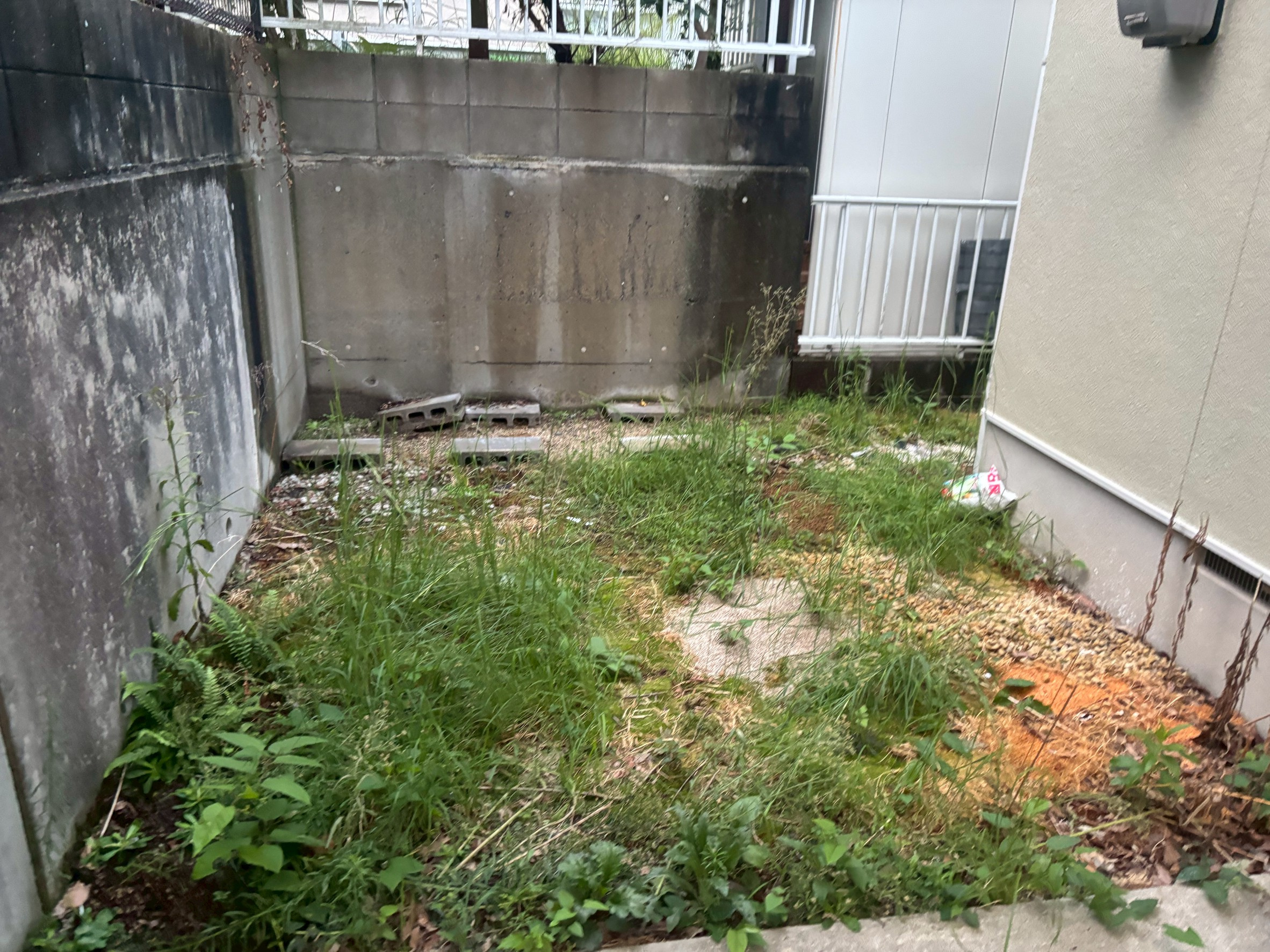 間もなく完成の画像