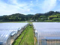 相続した農地は売却できる？手続きの流れや注意点についても解説の画像