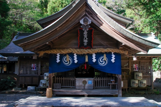 高知市にある「若宮八幡宮」の概要！創建の由来や祭事もご紹介
