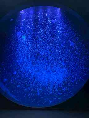 加茂水族館の画像