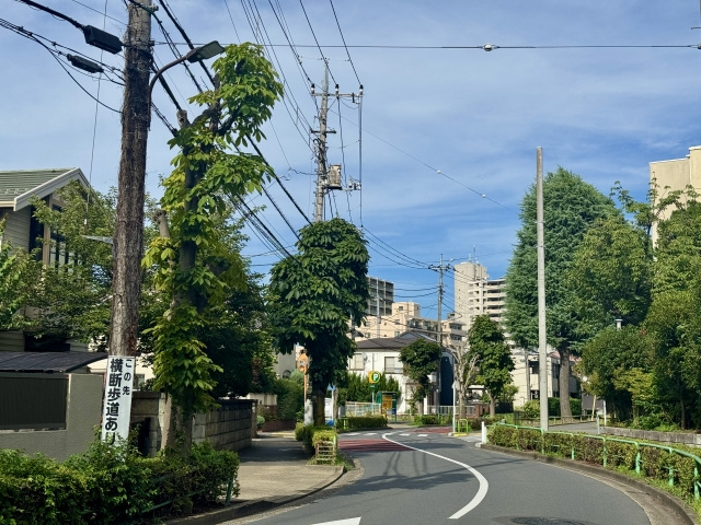 電柱の移設や撤去は可能か