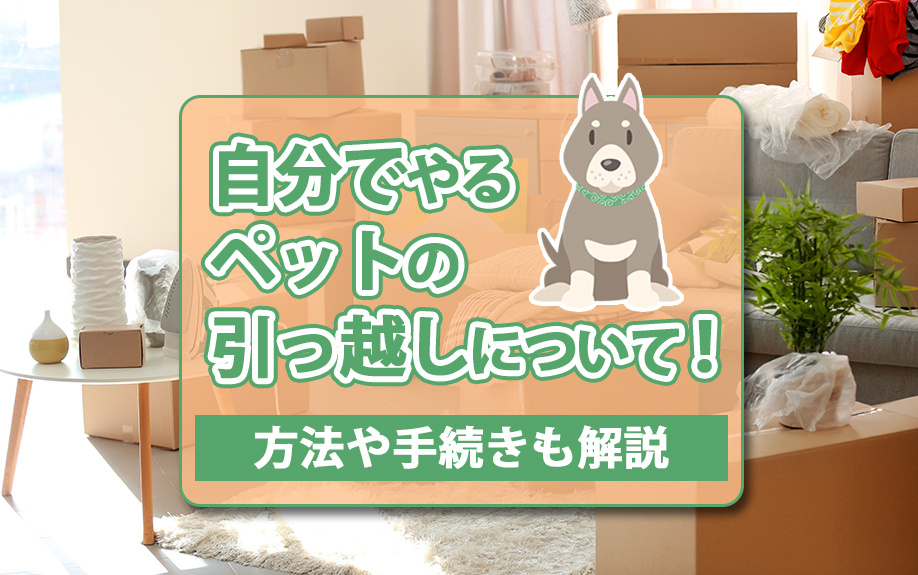 自分でやるペットの引っ越しについて！方法や手続きも解説