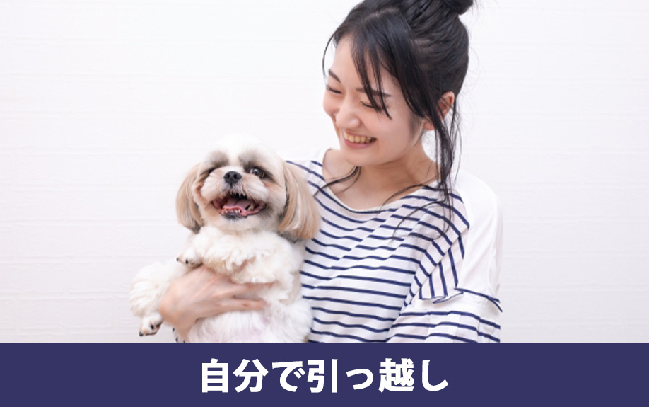 自分でペットと引っ越しする方法