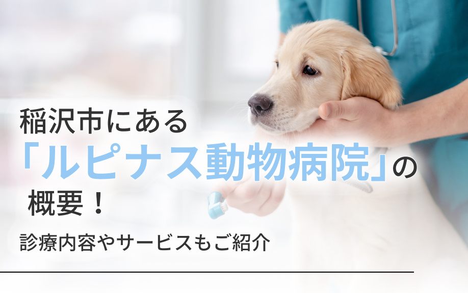 【2025年】稲沢市にある「ルピナス動物病院」の概要！診療内容やサービスもご紹介の画像
