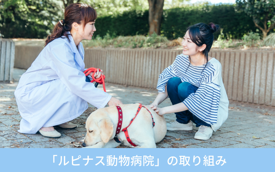 「ルピナス動物病院」の取り組み
