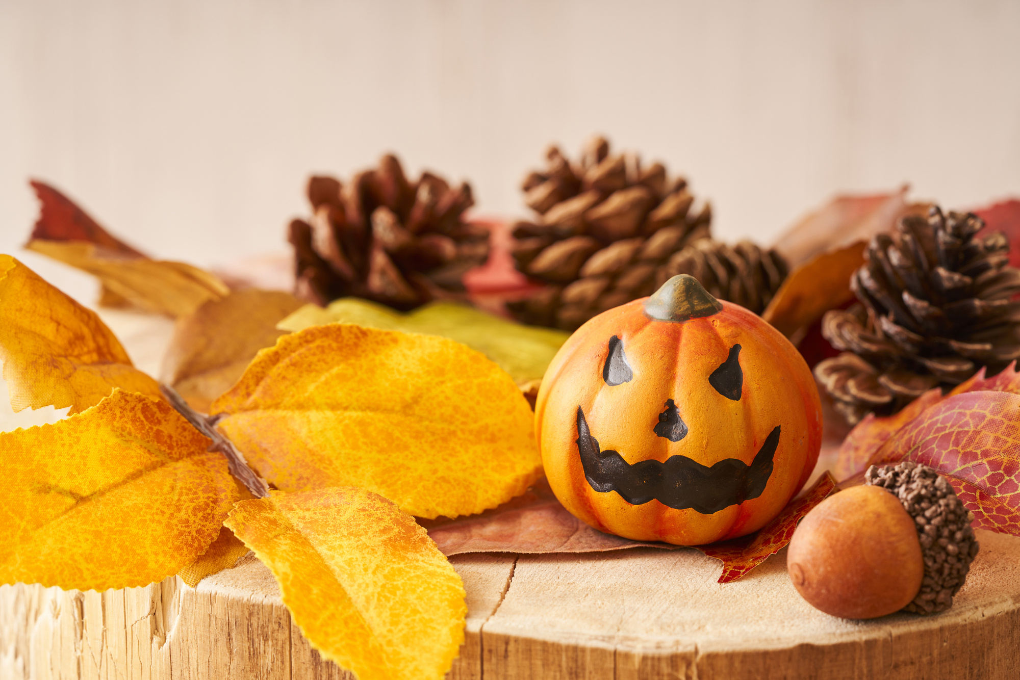 10月11日（土）新聞折込チラシの画像