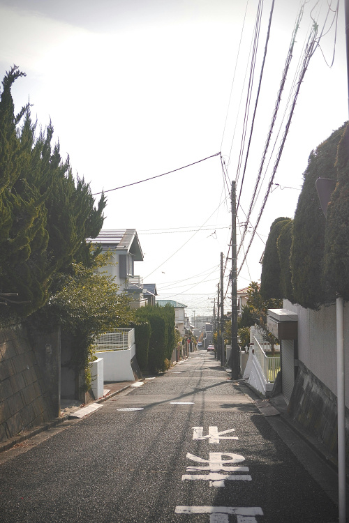 【第44回】合志市の人気校区ランキング｜家選びで見落とせないポイントの画像