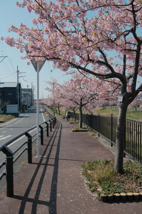 【第46回】合志市で家を買う前に｜地盤と災害リスクの見方・調べ方の画像