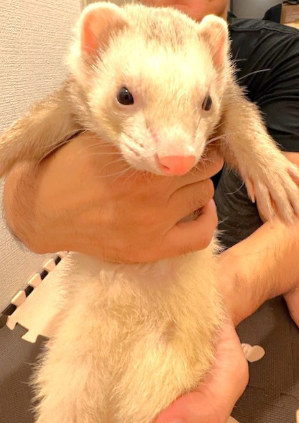 もうすぐ４歳の画像