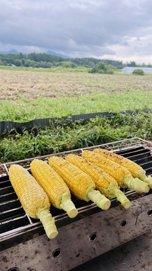 長野県満喫の画像