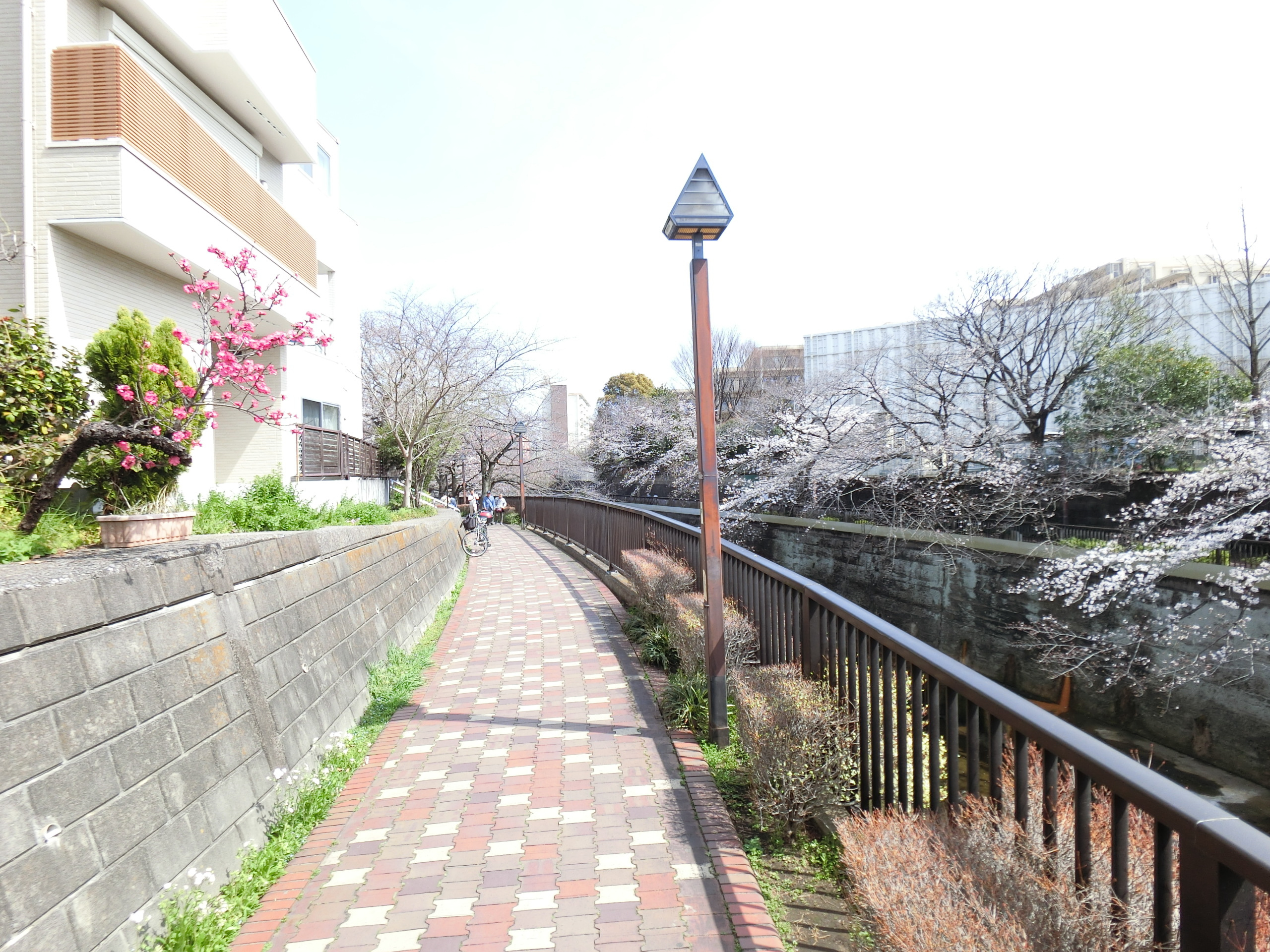 石神井川遊歩道