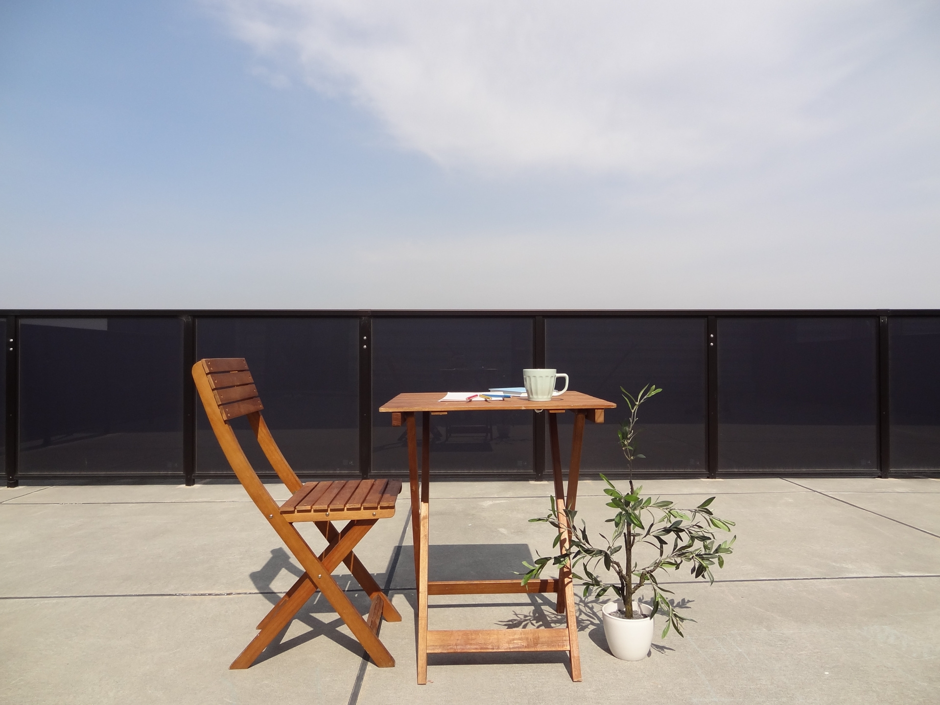 庭や専用庭の手入れはどうする？ルーフバルコニーの使用料とペットとの暮らし方も解説の画像