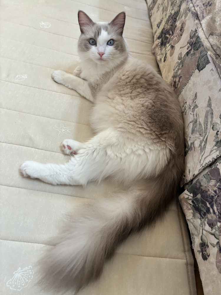 今日は何の日？の画像