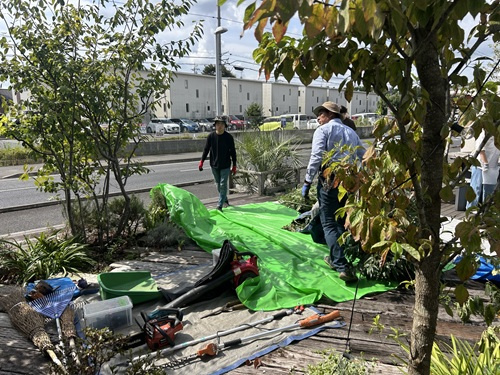 樹木の剪定～ワークショップ～開催の画像