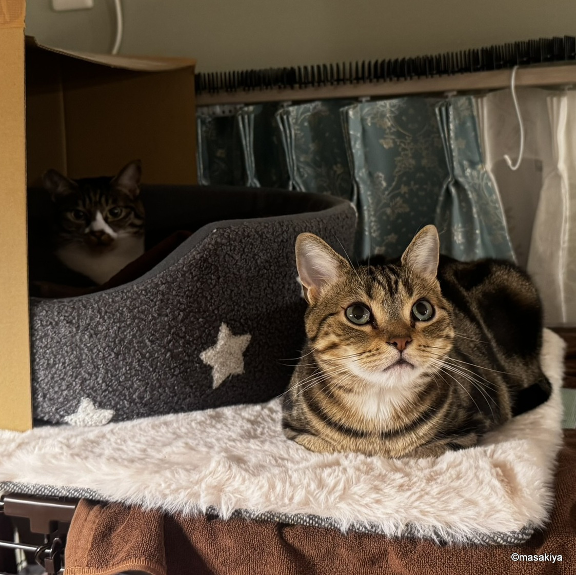 紐の緩め方の画像