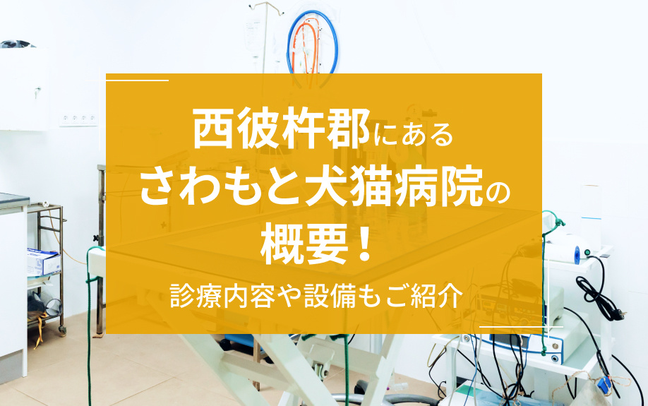西彼杵郡にある「さわもと犬猫病院」の概要！診療内容や設備もご紹介の画像