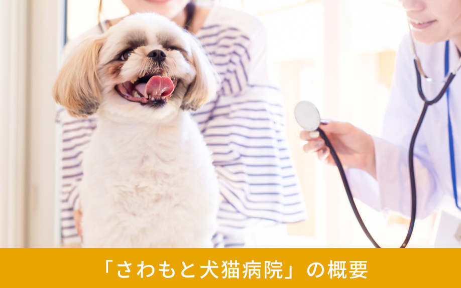 「さわもと犬猫病院」の概要