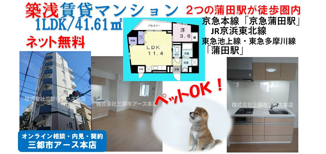 【スリーピーラグーンⅡ】大田区の築浅賃貸マンション