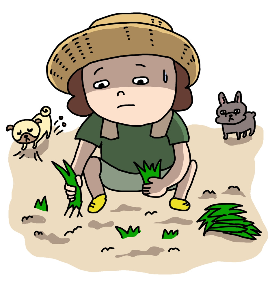 【賃貸物件の強敵】月極駐車場の雑草はなぜ放置できないのか？地道な作業に潜む大きなリスクの画像