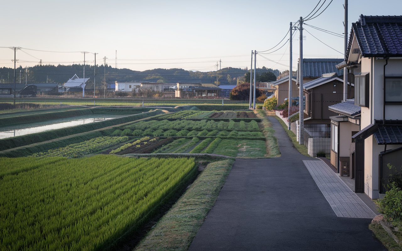 宇都宮市で農地を購入する際の注意点は？許可や手続きの流れも紹介の画像