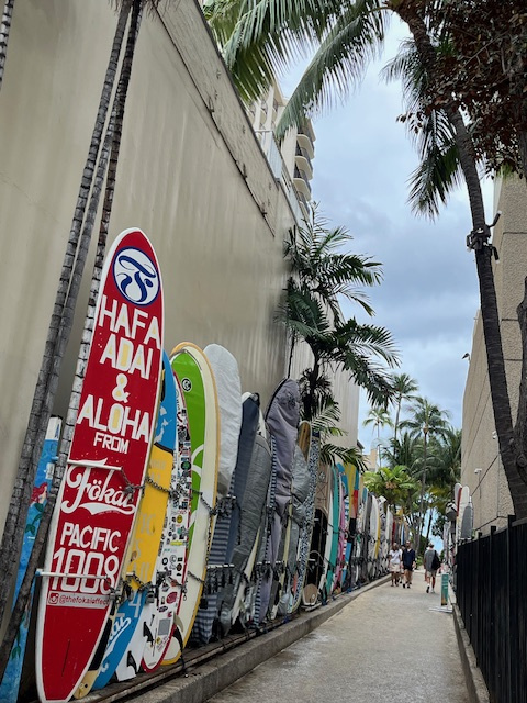 今年の夏は...の画像