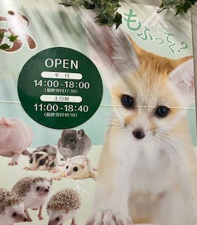 モフモフ♪癒しの休日の画像