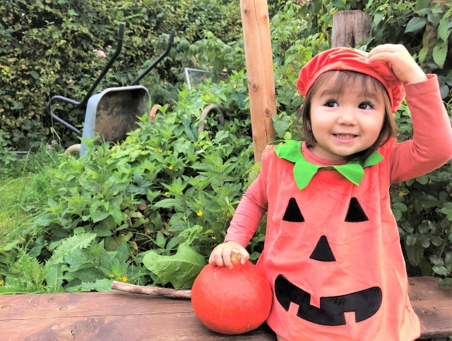 ハロウィンっていつからこんなイベントになったの？の画像