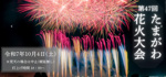 たまがわ花火大会の画像