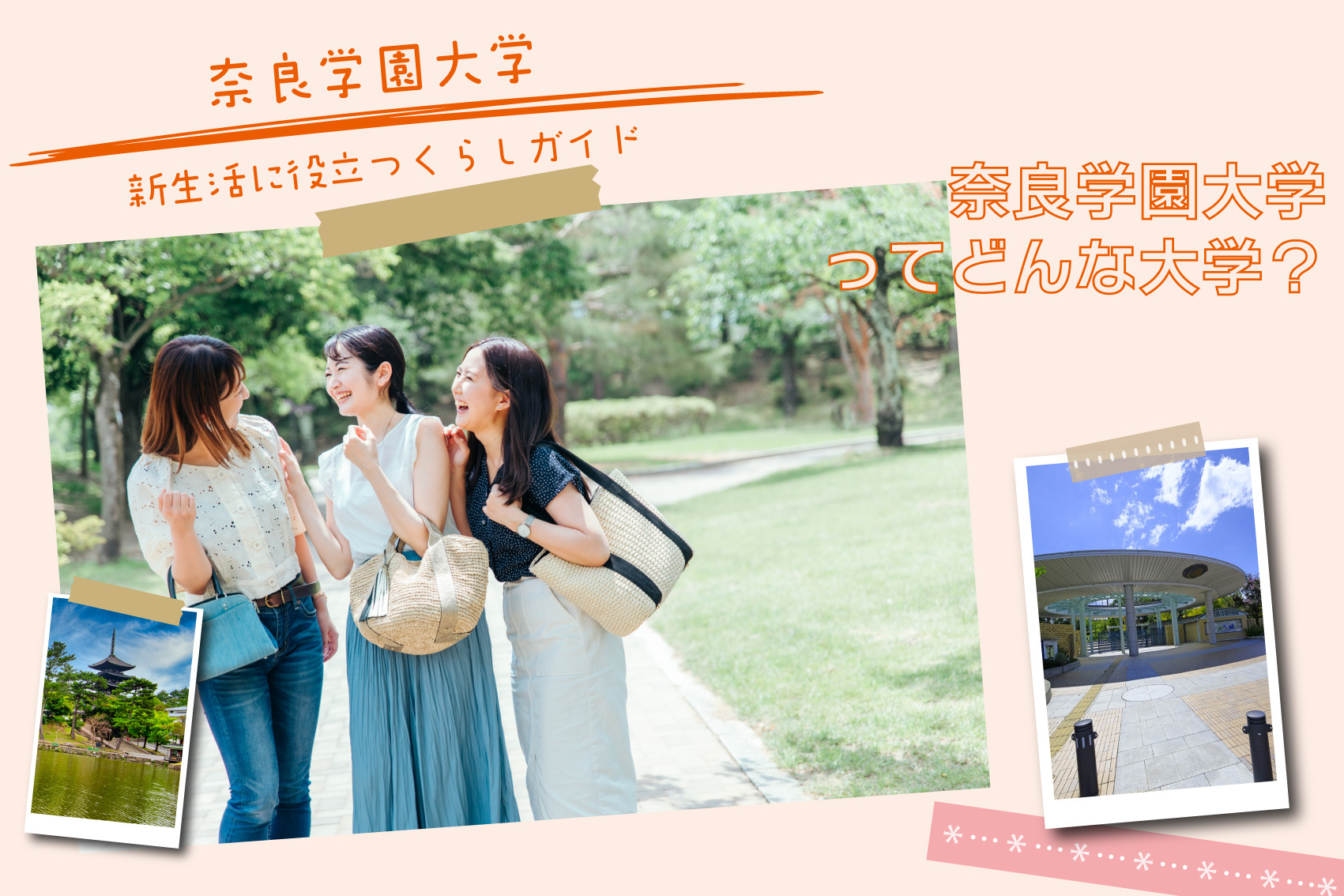 奈良学園大学ってどんな大学？の画像