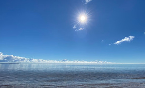 【2026年最新版】東大阪市の空き家をカフェに！夢を叶えた人のリアルストーリーの画像