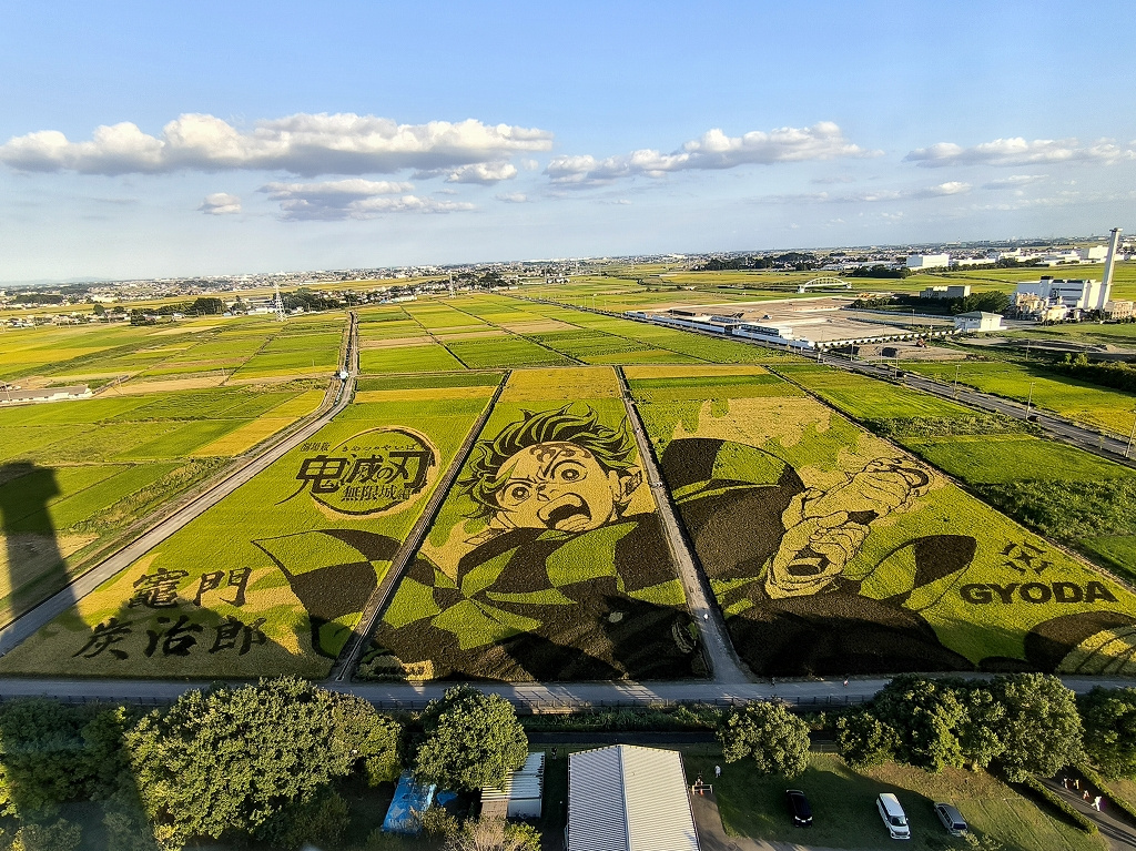 10月7日:田んぼアート(鬼滅の刃)の画像