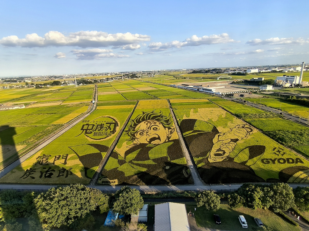 10月7日：田んぼアート（鬼滅の刃）の画像