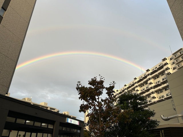 虹の画像