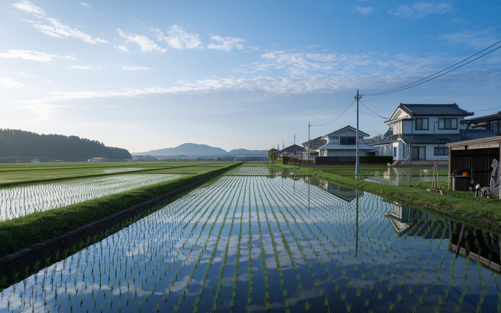 田んぼを売りたい方必見手続きの流れをやさしく解説  手続きに必要な準備や注意点も紹介の画像