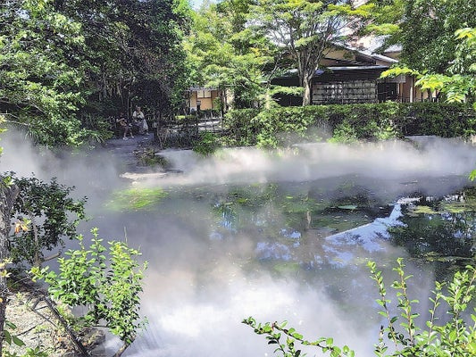 熊谷の星渓園の歴史や建造物が気になる方必見！2025年イベントや無料電動カート送迎情報も紹介の画像