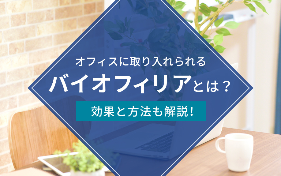 オフィスに取り入れられるバイオフィリアとは？効果と方法も解説！